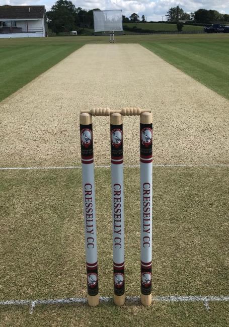 The pitch - looking as fantastic as usual