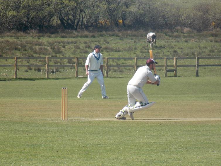 Cricket Reports  24th April 2016