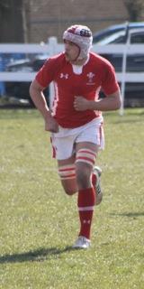 Josh in action in international colours