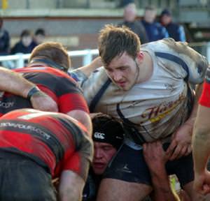 Tame Otters have to share the spoils